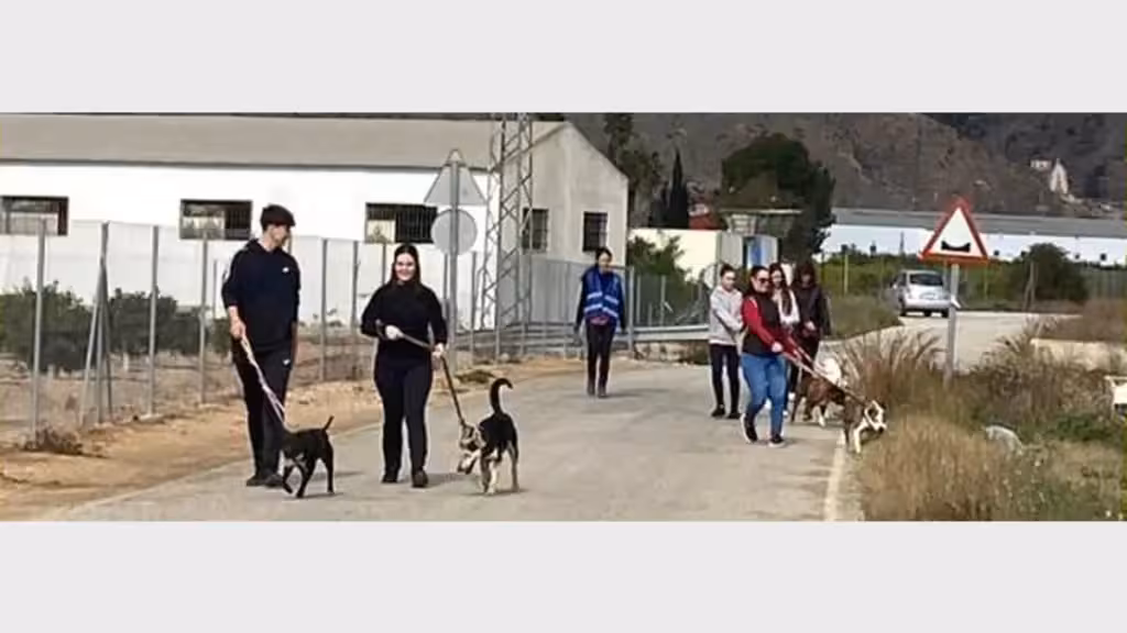 Menschen führen Hunde an der Leine auf dem Foto des Plakats zum Benefizspaziergang von ASOKA Orihuela