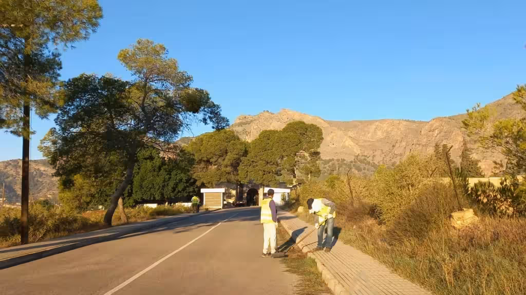 Orihuela prepara asistencia y accesos a los cementerios por Todos los Santos Trabajadores con chalecos reflectantes limpian el margen de la carretera de acceso al cementerio