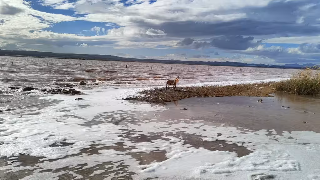 Rosafarbenes Wasser und Schaum am Ufer der Lagune von Torrevieja unter einem bewölkten Himmel.