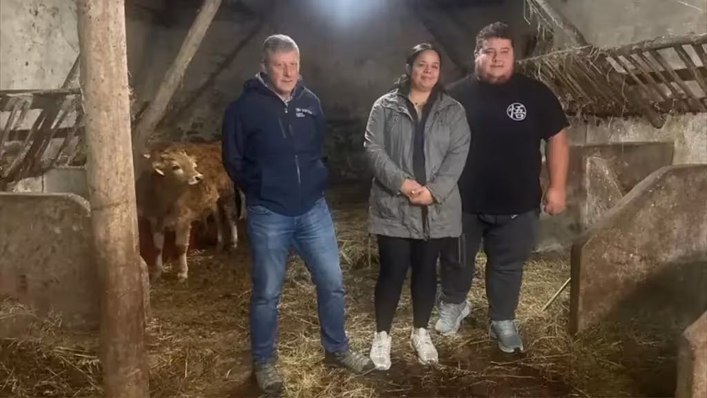 Три человека рядом с телёнком внутри хлева